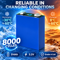 Batterie LiFePO4 prismatique à semi-conducteurs 3,2 V 314 Ah, haute capacité, 8000 cycles, haute densité énergétique pour usage commercial – Approvisionnement en gros