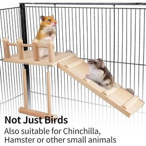 "Parakeet Cage with Platform Swing and Climbing Ladder <b>Small</b> Animal Supplies" - Product Image 1