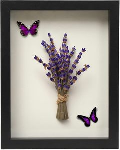 Marco de Fotos Moderno de Madera Negra para Colgar en la Pared o Apoyar sobre la Mesa, con Cubierta de Vidrio, para Decoración del Hogar, Exhibición de Arte, Flores y Sombras - Product Image 2