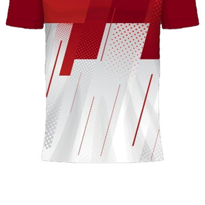 Uniforme de Fútbol Personalizado 100% Poliéster, Fabricado por FIT FRONT Industries para Todas las Edades, Disponible en Todos los Colores - Product Image 5