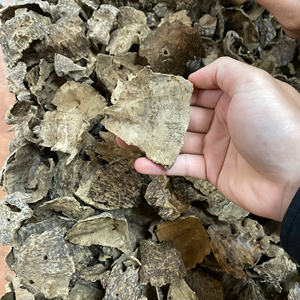 Puces d'agarwood brut pur du Vietnam, qualité supérieure, pour l'aromathérapie, bois d'oud naturel - Product Image 2