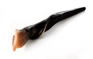 เครื่องดนตรีแตรเป่าแบบน้ำหนักเบาสำหรับการเฉลิมฉลองกลางแจ้ง กิจกรรมกีฬา งานปาร์ตี้ งานเทศกาล ขบวนพาเหรด และความบันเทิง - Product Image 6