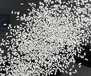 ข้าวเหนียวพรีเมียมขายส่งสำหรับร้านอาหาร แปรรูปอาหาร และส่งออก มีเนื้อนุ่มเหนียว - Product Image 3