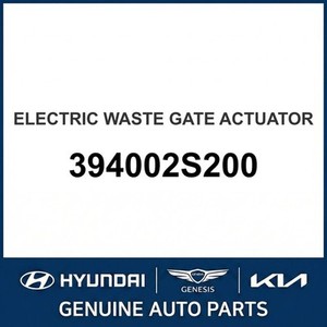 Palisade Nouvelles pièces et accessoires pour voitures et camions 394002S200 - Product Image 1