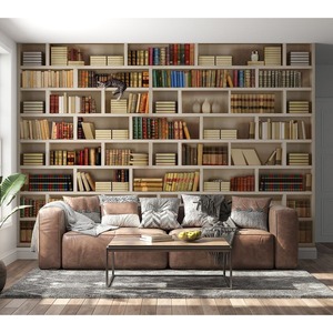 European Wall Mounted Stainless Steel <strong>Book</strong> Cabinet Extendable Easy Clean Hygienic Office Furniture Bookcase Living Room Hotel - Product Image 1