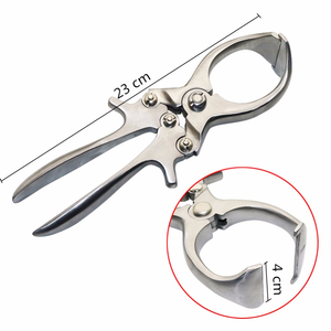 Castration Clamp for Pig Sheep <b>Heavy</b> <b>Duty</b> Livestock Veterinary <b>Tool</b> <b>Heavy</b> <b>Duty</b> Castration Clamp for Pig Sheep Livestock - Product Image 3