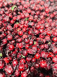 Hibiscus Roselle séché OEM: Calice rouge pour une utilisation à base de plantes, séché au soleil, norme d'exportation du Vietnam/ Lima - Product Image 6