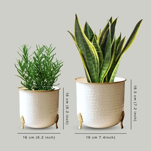 Juego de Jarrones Modernos para Mesa, Macetas de Metal Blanco con Borde Dorado, Diseño Acanalado, Maceteros Decorativos para Uso en Interiores - Product Image 2