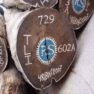 Premium Quality Wenge <b>Logs</b> <b>Eco</b>-friendly Oak Sourced Professional Timber Markets Wholesale Deals Fast Delivery for Household - Product Image 1