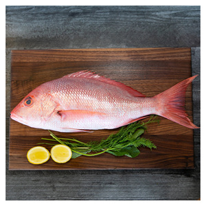 ผู้จัดจำหน่ายปลาทะเลแดงแช่แข็ง - Product Image 6