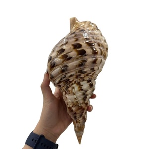 เคสทรัมเปตสีทอง99สำหรับตกแต่งบ้านทรัมเป็ตขนาดใหญ่จากเวียดนาม - Product Image 1