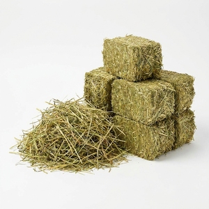 Heno de Alfalfa de Grado Alimenticio, Alto en Fibra, Alimento para Ganado, Caballos y Vacas Lecheras, Aplicaciones Agrícolas - Product Image 4