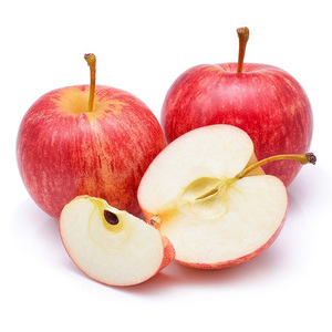 Pommes rouges Fuji fraîches récoltées à la ferme, riches en vitamines et en douceur naturelle, pour l'approvisionnement commercial en fruits - Product Image 6