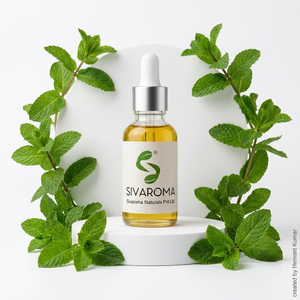 High Purity Mentha Oil for Fragrance Blending, Cosmetic Manufacturing, Personal Care Products and Commercial Flavor Formulations - Product Image 6