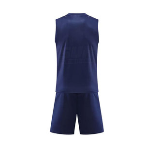 Uniforme de Voleibol Transpirable de Primera Calidad, Personalizable, Servicio OEM, Conjunto para Adultos Unisex, Camiseta y Pantalones Cortos de Voleibol - Product Image 3