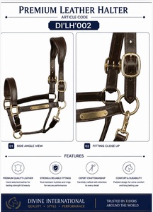 Cabestro de cuero de lujo para caballo con corona ajustable y cierre de garganta de Divine International - Product Image 5