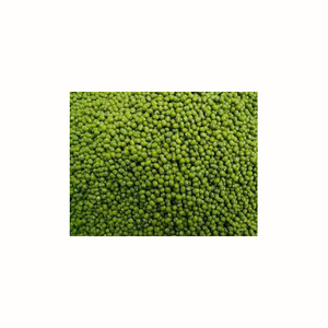 Frijoles de Bambú Verdes, Producto de Primera Calidad para la Industria Minorista y de Servicios de Alimentos - Product Image 6