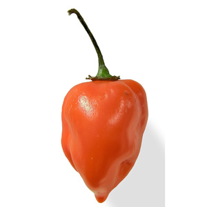 Piments doux jaunes et rouges biologiques en gros - Capsicum Habanero de haute qualité au goût sucré - Product Image 1