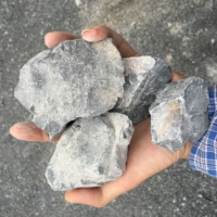 Poudre de Dolomite Marque SHC Chaux Vive 55% CaO Dessiccant Meilleur Prix Gris pour l'Acier, l'Agriculture et la Fabrication du Verre Exporté du Vietnam