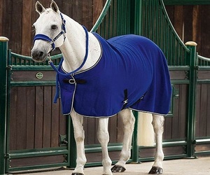 Couverture d'extérieur pour cheval en tissu Oxford bleu, col standard, 2 sangles de fixation, accessoires en acier inoxydable, utilisation extérieure toutes saisons, fabricant - Product Image 4
