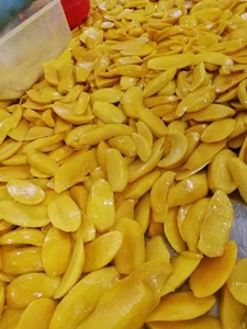 Dried Mango Soft Natural Fruit From Vietnam Excellent For Retail Chains And Snack Distributors - Product Image 4