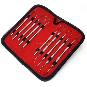 Juego Profesional de Instrumentos Dentales de Acero Inoxidable de 10 Piezas, Kit de Higiene Bucal, Instrumentos Dentales, CE ISO, Proveedor Mayorista OEM - Product Image 1