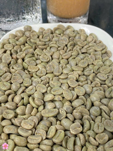Venta al por mayor de granos de café verde Robusta sin tostar, café crudo natural puro, proveedor a granel de Vietnam, granos de café sin tostar - Product Image 3