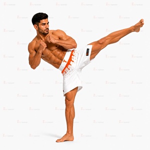 Shorts d'entraînement MMA Performance 180g Polyester Spandex Extensible dans les quatre sens Séchage rapide Respirant Léger Vêtements de combat Grappling OEM - Product Image 2