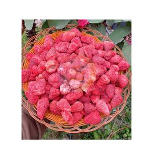 Fresas deshidratadas congeladas a precio económico al por mayor, la mejor marca de Vietnam, fresas FD, snack crujiente de bajo contenido de azúcar, gran oferta para venta minorista. - Product Image 3