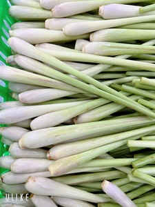 Citronnelle séchée pour l'exportation de tisanes - Product Image 6