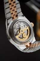Montre mécanique automatique Alexander Ferros 8272D/022 Sapphire Analog Miyota avec fermoir pliant de sécurité en acier inoxydable, résistance à l'eau 5 ATM