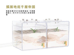 Habitat para Hormigas Empire Ants Aangran, Ecológico, Duradero, Acrílico, Lindo, Mini, Rectangular, con Cierre de Botón, Fácil de Limpiar, Transparente - Product Image 5