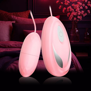 Odm Plug-in 10-tốc Độ không thấm nước dành cho người lớn Đồ chơi Vibrator với điều khiển từ xa cho người lớn lấy cảm hứng từ thiết kế - Product Image 4