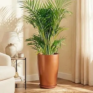 Modern Compact Copper Flower <b>Vase</b>-Lightweight Functional Stylish Powder Coated Eco-Friendly for Indoor Plants Bedrooms Kitchens - Product Image 5