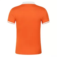 Chemises polo pour hommes à prix avantageux, simples, unies et à séchage rapide |   Chemises polo pour hommes de qualité supérieure, fabriquées avec des matériaux de première qualité, pour la vente en ligne - Product Image 2