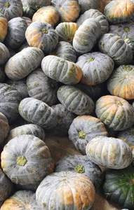 LOW MOQ Best Price IQF Frozen Pumpkin Diced Vietnam Factory Supply Bulk Frozen Pumpkin Cubes - <b>Ms</b>.Tarina - Product Image 4