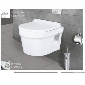 Inodoro suspendido innovador y moderno con forma de río, 510x365x370mm, cerámica sanitaria, para uso comercial en baños. - Product Image 5