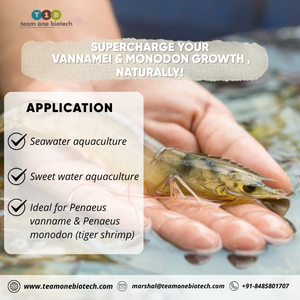 Suplemento Probiótico para Acuicultura de Camarones, Acondicionador de Agua y Suelo para un Crecimiento Saludable de los Camarones - Product Image 4