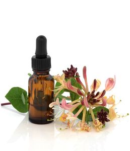 Aceite de Madreselva Premium para Fragancias, Cuidado Personal, Fabricación de Cosméticos y Aplicaciones de Formulación Industrial de Alta Calidad - Product Image 1