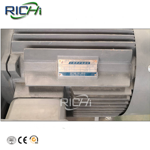 Máquina de Pellets para Alimento de <span class=keywords><strong>Pollo</strong></span>, Cabra y Cerdo <span class=keywords><strong>RICHI</strong></span> 1-2T/H en Venta en Filipinas y Malasia - Product Image 6