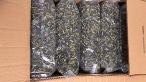 Oferta Especial 2026 Flor de Guisante Azul Seca de Alta Calidad para Té, Venta al por Mayor, Forma de Flor Completa, Bajo Precio, Producido por EXPAD Vietnam - Product Image 5
