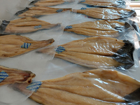 Filets de poisson basa séchés de qualité supérieure à bas prix, corps de pangasius salinisé, sac OEM ODM, vente en gros