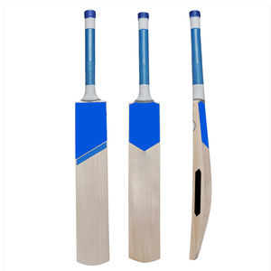 Batte de cricket légère conçue pour les jeunes, destinée aux entraînements scolaires et aux débutants, construction durable. - Product Image 1