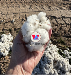 Fibres de coton peigné blanches en vrac, déchets textiles, matériau de rembourrage pour le rembourrage industriel, recyclage, VDELTA - Product Image 5
