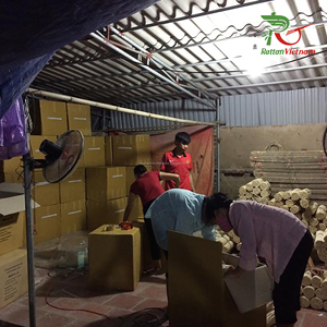 Bâtons de diffuseur de roseaux en rotin 3.0mm Diffuseur de parfum de maison de couleur naturelle avec huile parfumée Vietnam Contact Mr.Huy + 84916930070 - Product Image 5