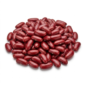 Large Red Kidney <b>Beans</b> / Big Size Rajma 220-240 pcs per 100g for Baked <b>Beans</b> Processing Premium Grade Bulk Supply 10MT - Product Image 1