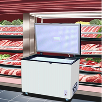 Évaporateur de porte moussante AC 220V50Hz Big Cold Storage Single ChestFreezer pour la congélation de viande de poisson et de poulet