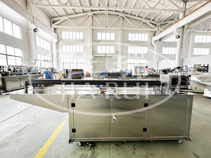 เครื่องอัดรีดท่อพีวีซี/ทีพียูสายสวนเลือดสำหรับสายสวนหลอดเลือดดำส่วนกลาง - Product Image 2