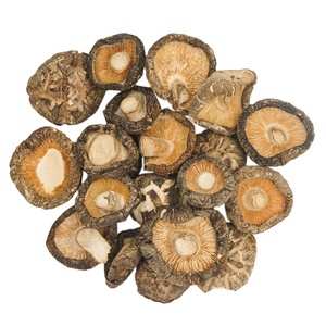 Champignons secs biologiques Délicieuses friandises pour champignons et produits naturels de haute qualité - Product Image 3