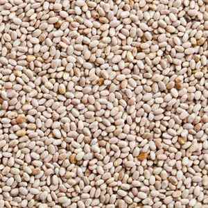 Semillas de Chía Blancas, Superalimento Natural a Base de Plantas, 100% Puras, Grado Alimenticio, Semillas Enteras, Personalizadas para la Fabricación de Alimentos y Uso en el Cuidado de la Salud - Product Image 3